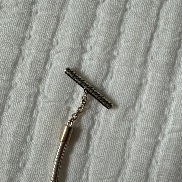 Pandora Charm Bracelet - Picture 3 of 5